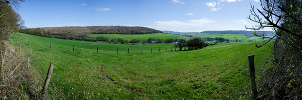 DSC 7573-Panorama